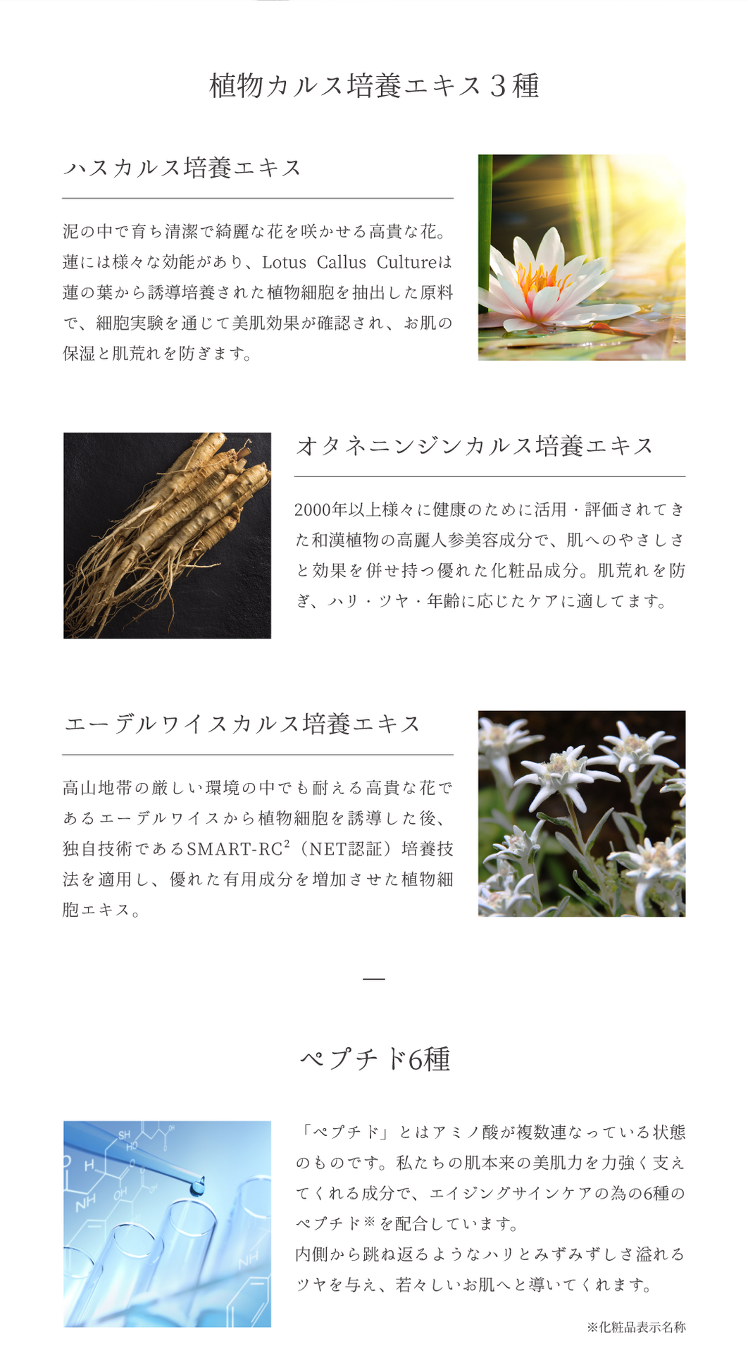 02-1